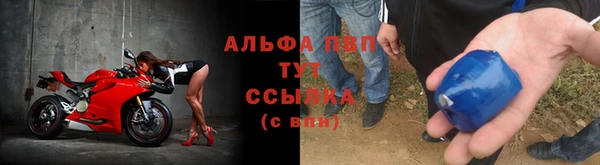 сатива Каменск-Шахтинский