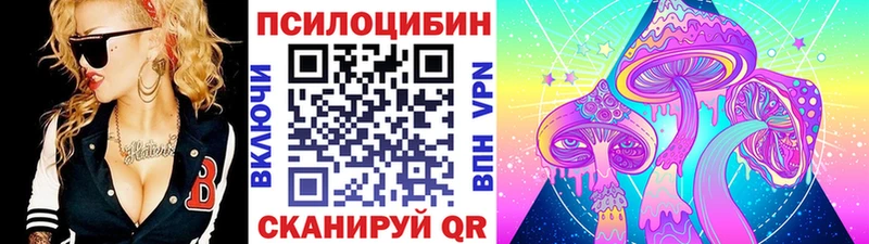 Галлюциногенные грибы Psilocybe Чистополь